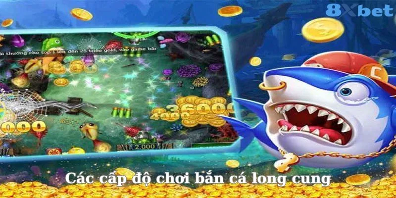 Đa dạng cấp độ chơi bắn cá long cung cho hội viên lựa chọn. 