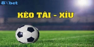 Mẹo Bắt Kèo Tài Xỉu Cược Là Thắng Tại Bàn Chơi 8Xbet