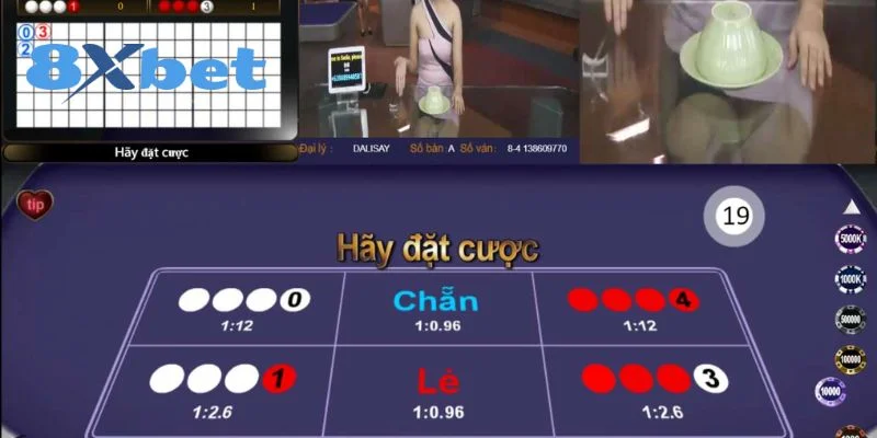 Nắm bắt nhịp cầu để trở thành cao thủ xóc đĩa 8Xbet thực thụ.